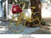 A bicicleta do amor
